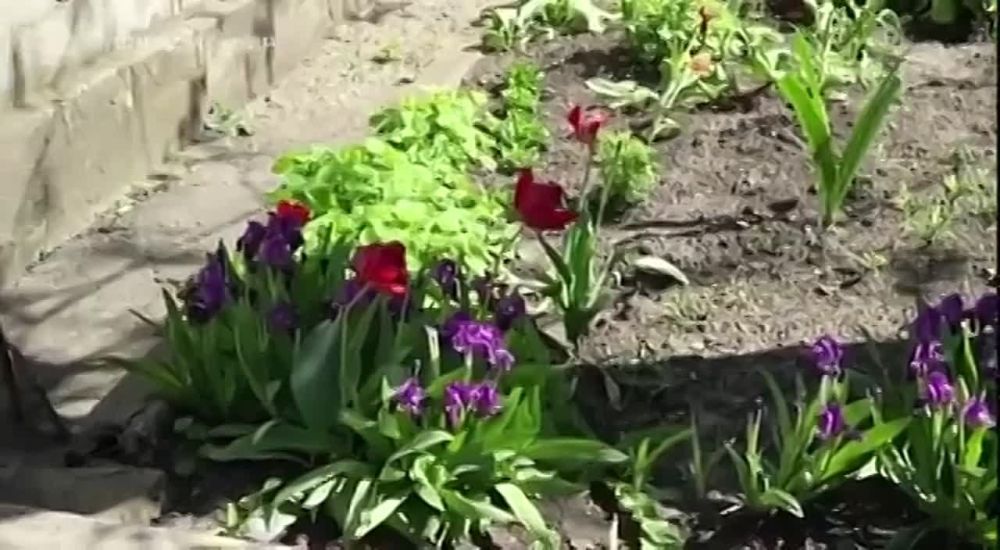 ������� �������: ��� �� ��� �����:. "����� �������, ������, ��� ������. �� � ����� ������ �����, ��������...