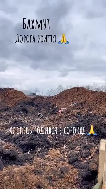 ������ �������: ������ ������� � ���������� ���-4� �� "������ ������" �� ������ ��� � ���������