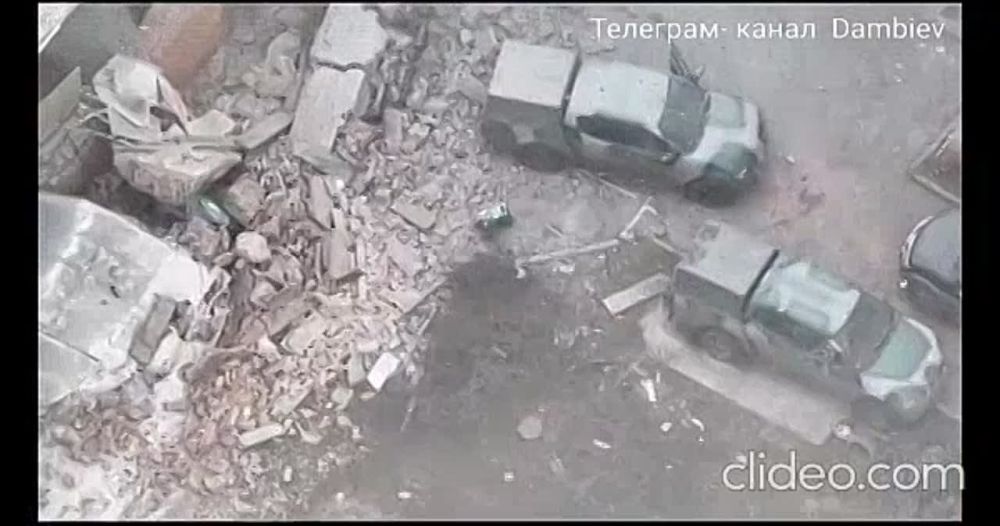 ������ �������: �����. ���������. ������ �� ��������� �������������� ���������� �����