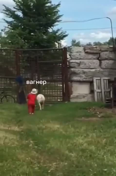 ��� "������" �������� ������� ��� � ������ ���������)))