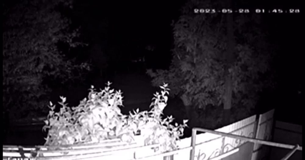 � ���� ��������� ����� �� ���������� ������ ������� �����