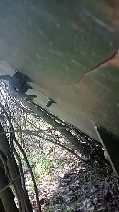 ��������� �� ������ ����� �� ������ ������� ������� ��� ������� ��������� �� �������� ����������� ����� �� ���������