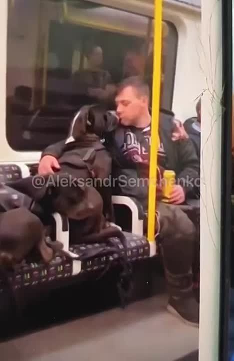 �������� �� ������ �������� ����� ����������� � ����������, �� � ������� � ��������