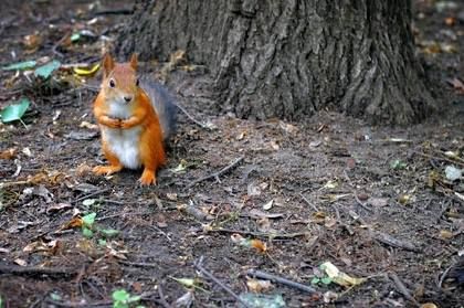 � ��� ������� �� ������ ������������ ����� � ���������� � ��������������� ������� ��-�� ������ ��������