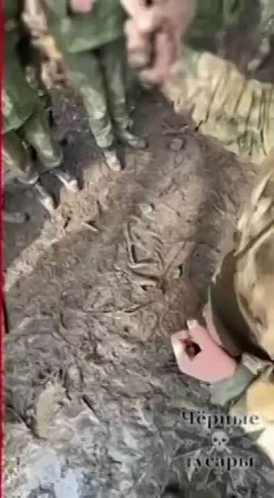 �������� 15-� �������������� ������� � �������� "�����" � ��������� ������� ������