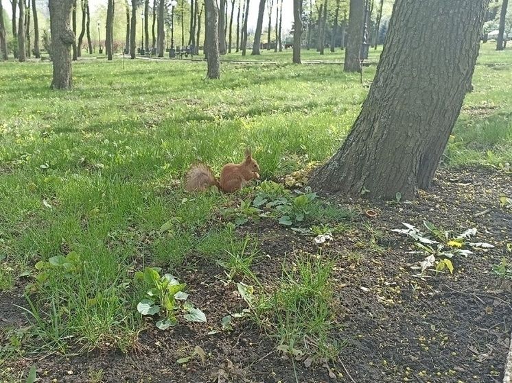 ������� 20 ����� �������� ����� ��� ��������� ���������� � ���������� ������ ��������