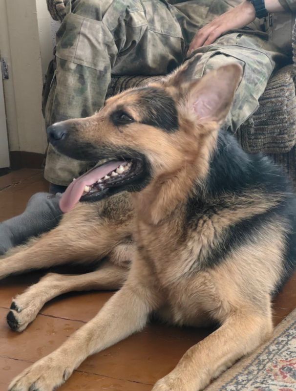 ���� �������: �� ����������. "� ��������� ��� �������� ������ �� 155-� ������� ������� ������ ���. ��� �������� ��� �� ������ ������, � ������ �������, ���� ������� �����"