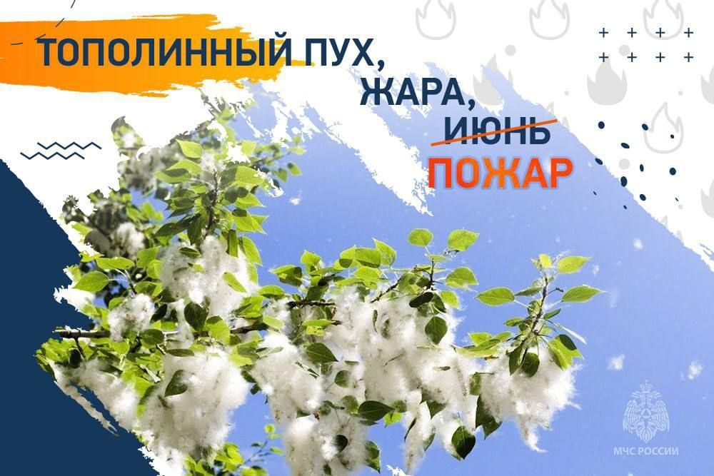 Руслан Дудников: Начинается период цветения тополей, поэтому очень важно соблюдать меры пожарной безопасности