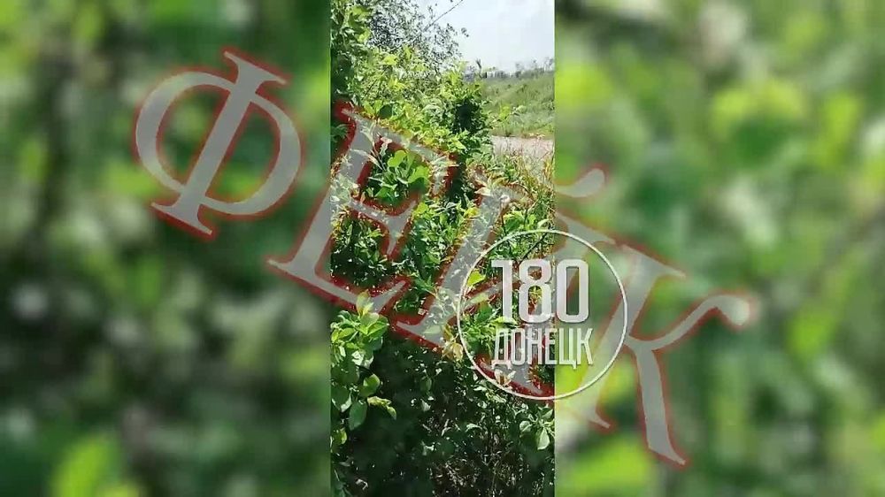 ��������� ������ ����. ���������� ��������� ������ ��������� ���� ��������� ������ � ����� ��������� � ��������� ��-������� ����� � ����� ������ � ������ ��� ��������