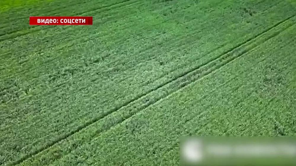 �������������� ������ ����������������� ������ �� ���� ���