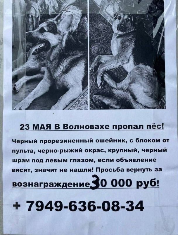 ������ ���������: ���������� �� ��� ����������: "������������, ����������� ����������. ��� �� 155 ������� ������� ������ ��� "������"