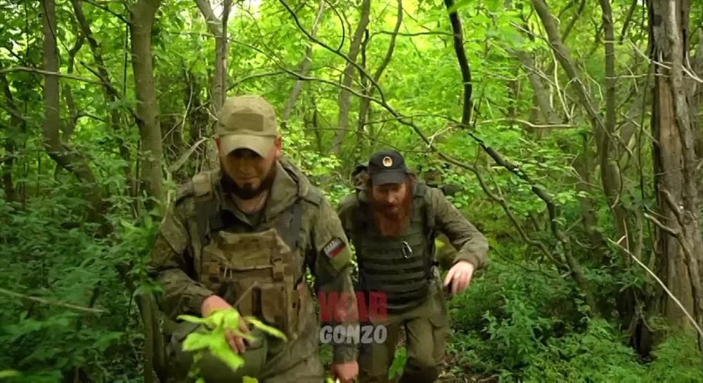 WarGonzo: �������� ����� �������� ��������� �� ���������
