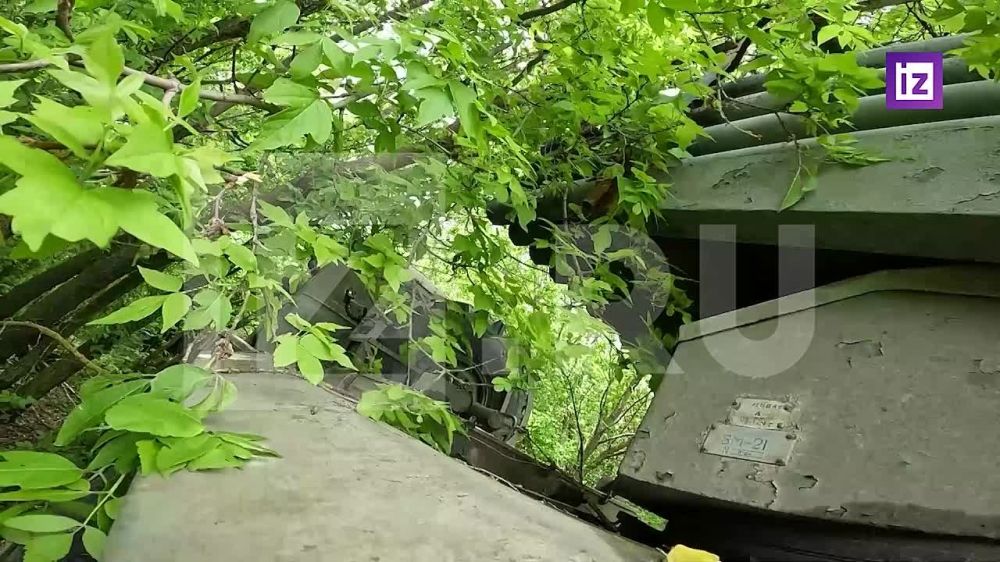 ������������ ������������ ����������� ��������� ������� � ������������ ��������