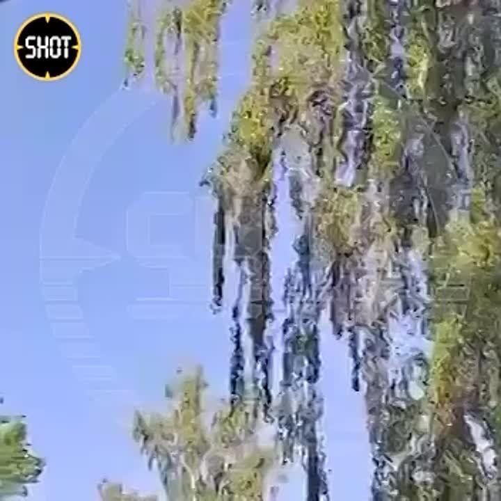 ������ ���������� ���� ��� ��������