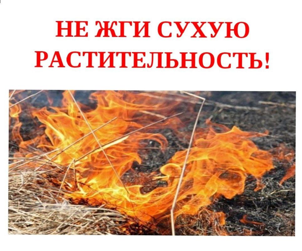 ���� �����������: ��������������� �������� ��� �����, ������ ����� ������ ����������� ��������