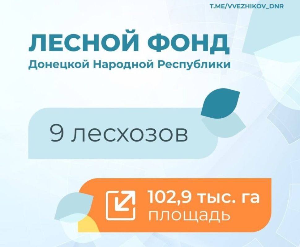 �������� ������������� ��������������-�������� ����� ����������� �������������� ��� ����� ��������