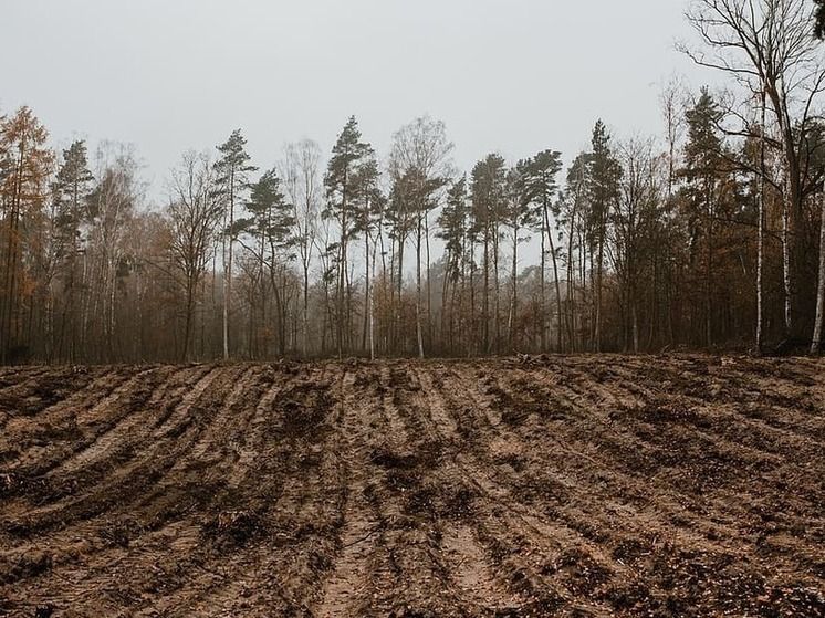 �������������� ��� ��������� �� ��������������� ����