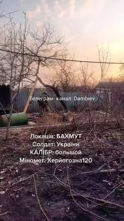 ������ �������: ���� ����� ���������. �������� ��������� ���������� 120-�� ������� �120-15 ������ ������������ ���������...