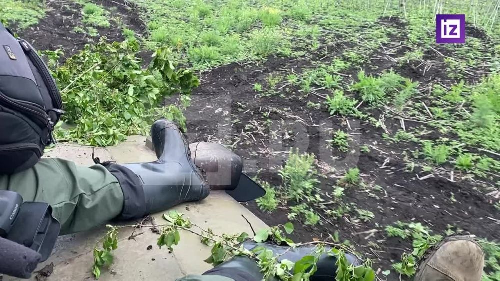 ���������� �������������� ��������� "��������" ���������� ���������� ���������� ��� ��� ���������