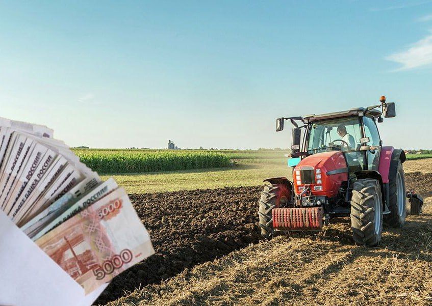 ��������� ��������: ��������������� ������� ������� ����� ��������� ������ ������������ � 2023 ����