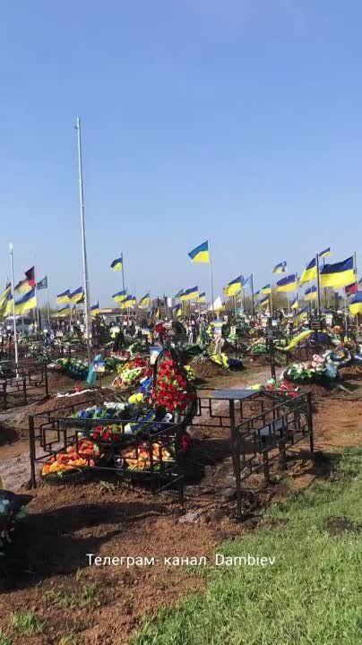 ������ �������: ������ ������ 122 ��������� ������� ��������������� ������� ��� �������� ����� � ������ � ������������ �����������