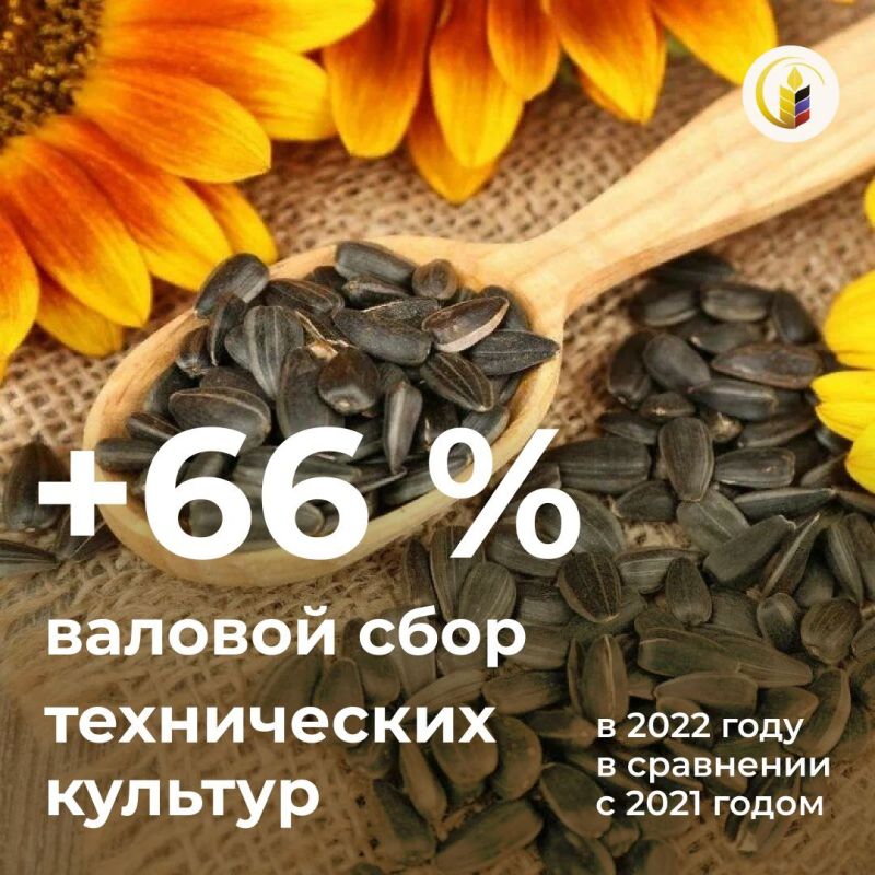 ������ ����������� (���������) ������� � ��� �� 2022 ��� �������� 163 ���. ����