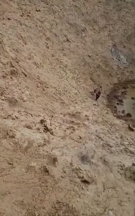 ��������� "����", �������������� ����� ������ ���� �� �������� ���