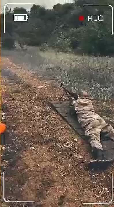 �������. ����� ���������������� �������� ������������ �������� ���� ����������