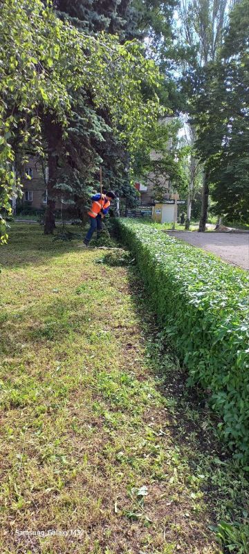 ������� ������: ������������� ��������� ������������ ������������� �. ������� "������� ������������� ������������ ������" ������� ������ �� ������ ����� � ������ ����� �� �������� ��������