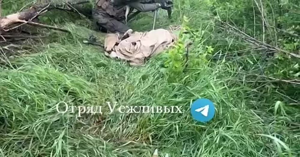 ������� ����� V������� �����..
