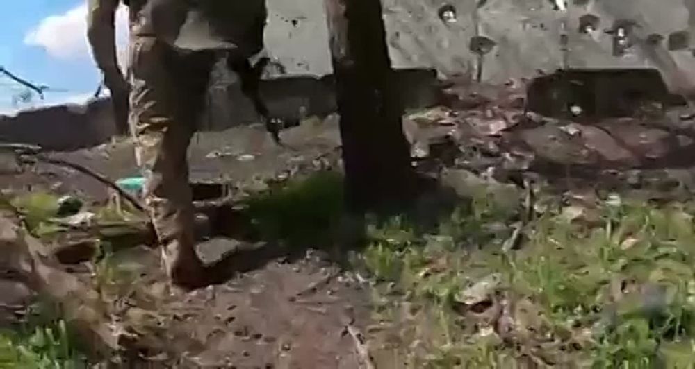 "��� ����� ������".. ������� �������������� ����� �� ������������ ����������
