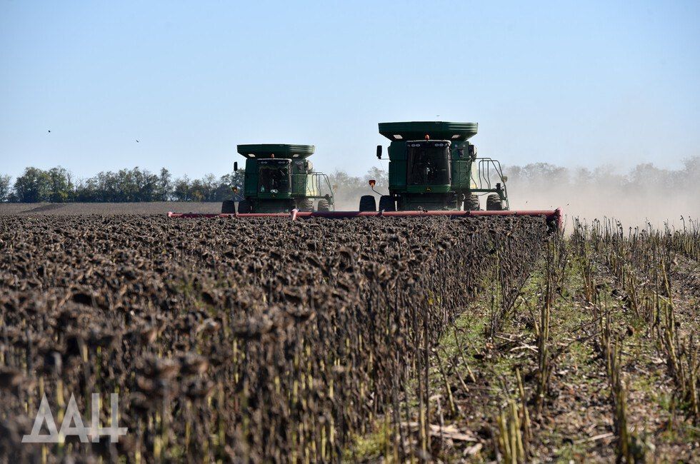 ����� 4,5 ���� ������ �������� ����������� � 2023 ���� �� �������� ��� � ����� ��������