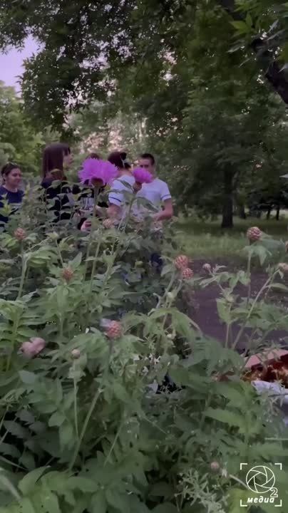 ���� ��������� ���������