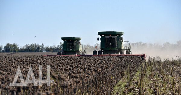 ����� 4,5 ���� ������ �������� ����������� � 2023 ���� �� �������� ��� � ����� ��������