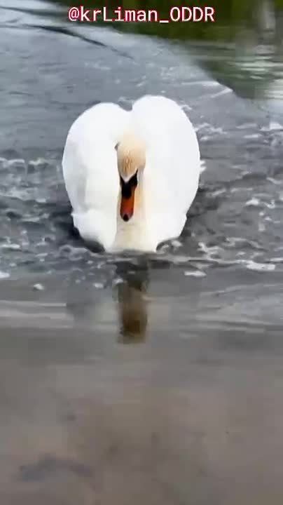 ��������, ����� ���������� �� ������������� �����