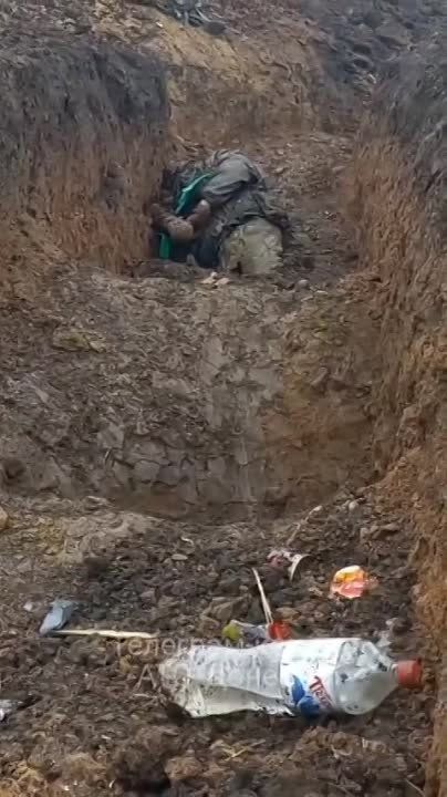 ������� ���������� � ����� ���������