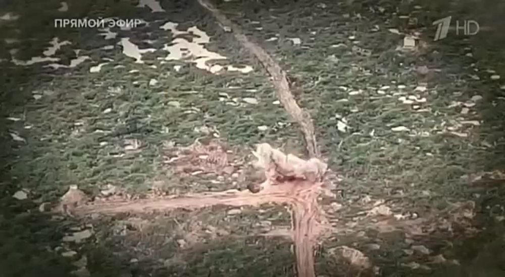 ������� �������: ����� ������ ����, ����� ����: