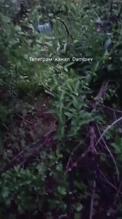 ������ �������: "� "�����" � ���� "������"