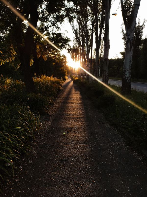 ����� ��������: �������� �����