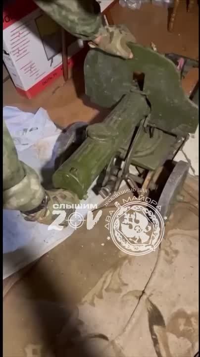 ����������� ����������� (������ -����������)