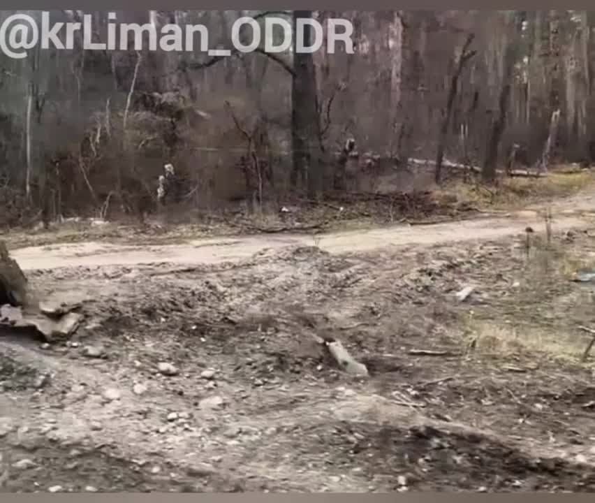 ������, ��������������� ������������� �����, ���, ������