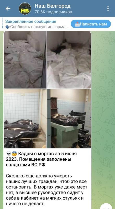 ����: ����� � ��������� ����������� ������� ���������� ��������������, �������� Telegram-����� ���� ��������