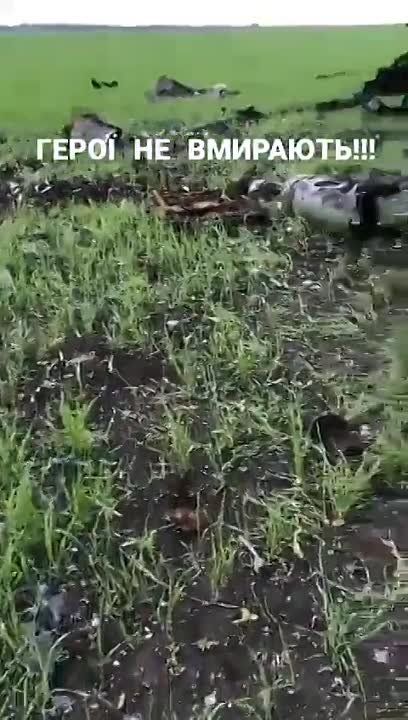 ������ �������: ������������ ���������� ���������� ������� ��������� 9�310�1 ��������� 9�37�1 ���-�1 (���) ����� � �.�. ���������� �������� �������� ����������