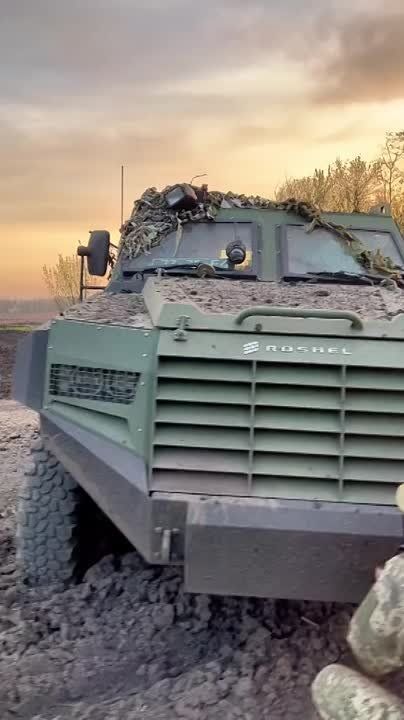 ������ �������: ��� ���� ������������ � �������� �������� ���������� ���������1 ��������������� Senator ������������ ��������� �������� Roshel