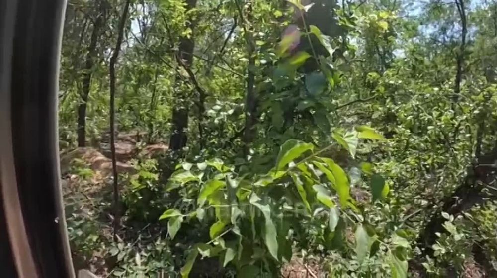 �������� �������: ������� ������.. ������ ����� � ������������ ������������ ��������?