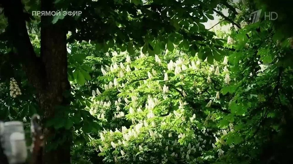 �� ����!. �� ��������� ����� �� ���������� ������ ������ ������, ��� ���� ����� �������� ������������, ��� ���������� �� ���� ����� ���������, ������ �������