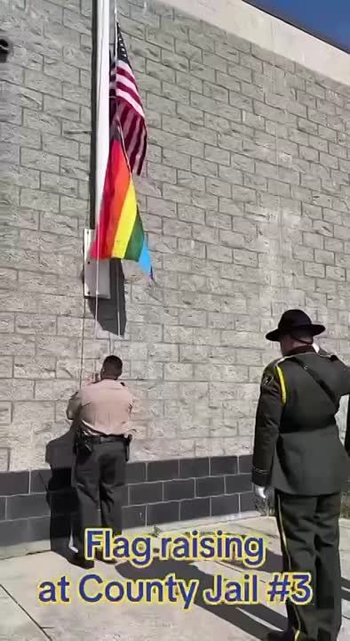 � ���-��������� ����������� � �������� ��������� �� �������� ����� ����