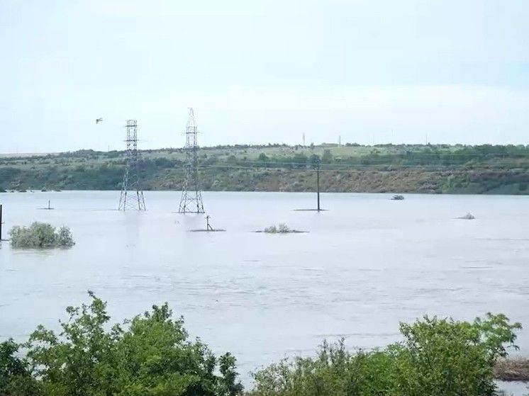 ��������� �� ���� �� �� ��������� ���, ���: ������-���������� 9 ����