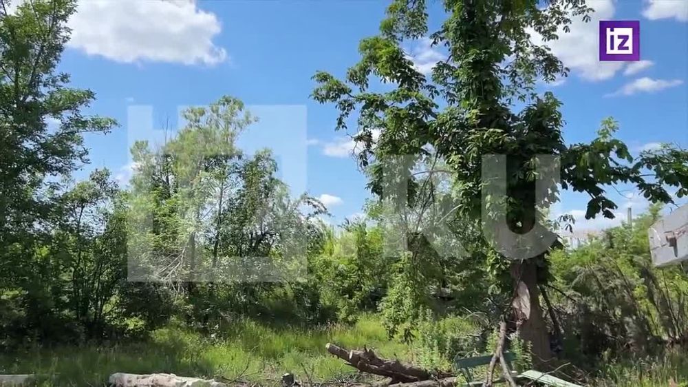 ����������� ��������� ��������� "�����" ���������� ��������� � ������� ���������� �������� �� ����������� �����������