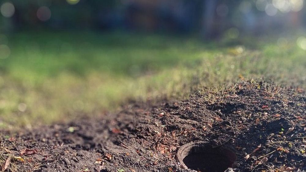 � ��� ��-�� ��������� ��� �� ������ ������� 13 �������, ��� 43 ������